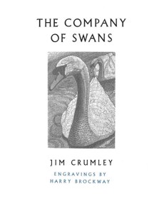 The Company of Swans The Company of Swans