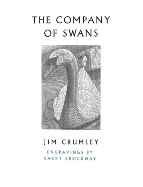 The Company of Swans