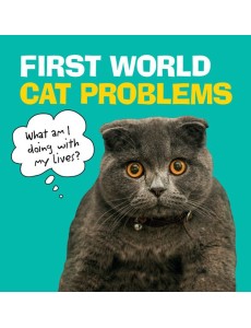 First World Cat Problems