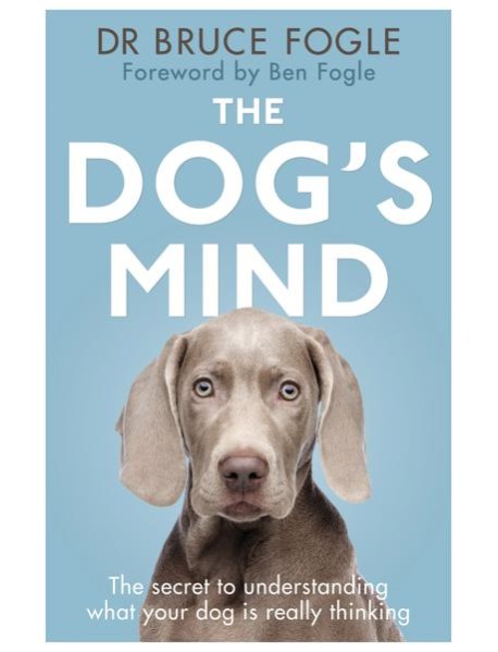 The Dogs Mind