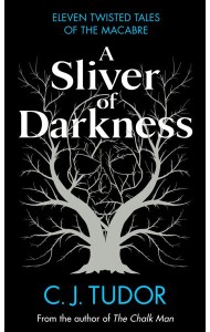 A Sliver of Darkness
