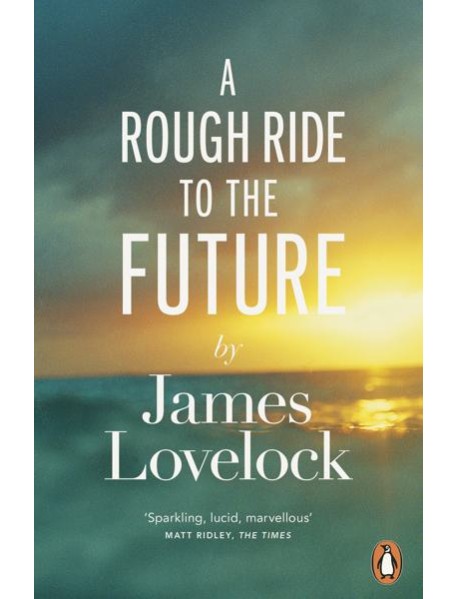 A Rough Ride to the Future