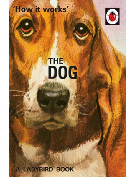 How it Works The Dog