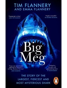 Big Meg Big Meg