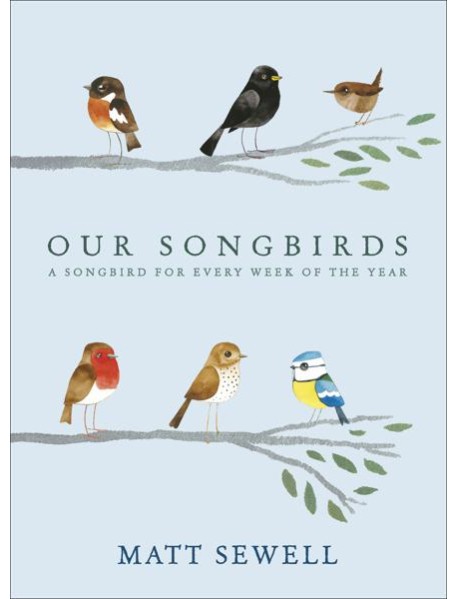 Our Songbirds