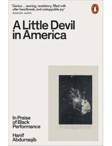 A Little Devil in America