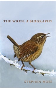 The Wren