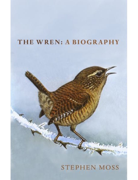 The Wren