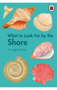 What to Look For by the Shore