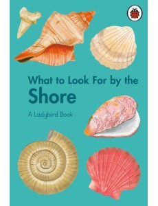 What to Look For by the Shore