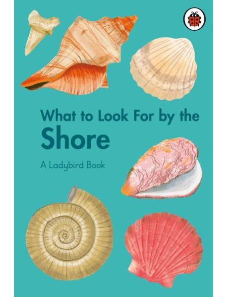 What to Look For by the Shore