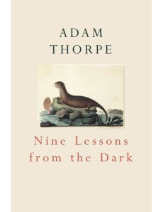 Nine Lessons From The Dark