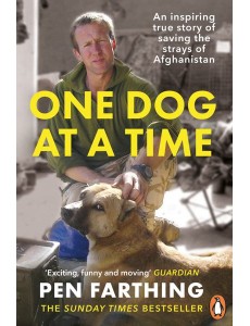 One Dog at a Time