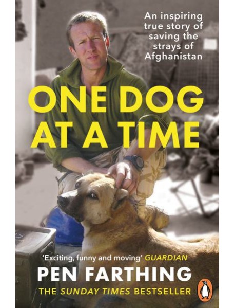 One Dog at a Time