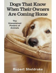 Dogs That Know When Their Owners Are Com