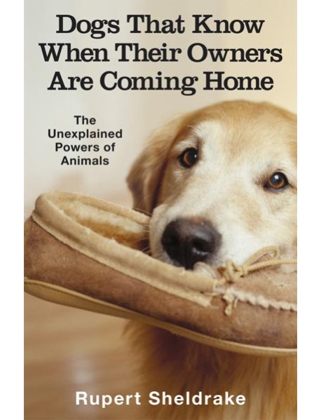 Dogs That Know When Their Owners Are Com