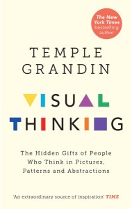 Visual Thinking