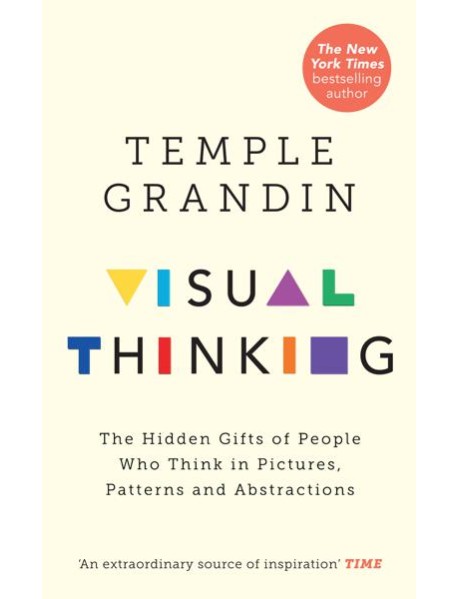 Visual Thinking