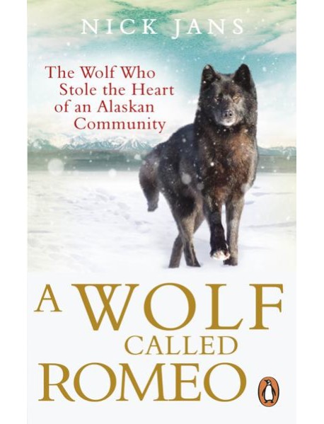 A Wolf Called Romeo