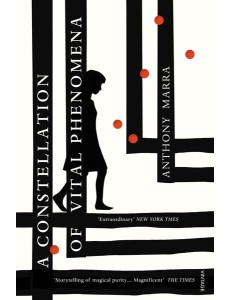 A Constellation of Vital Phenomena