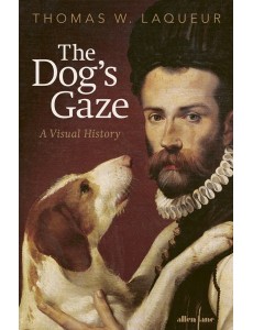 The Dogs Gaze