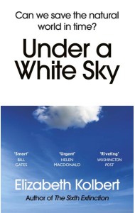 Under a White Sky