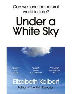 Under a White Sky