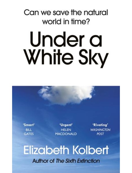 Under a White Sky
