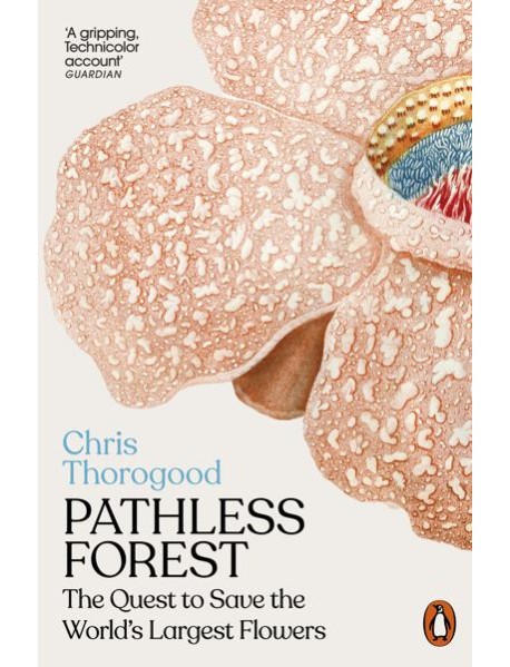 Pathless Forest