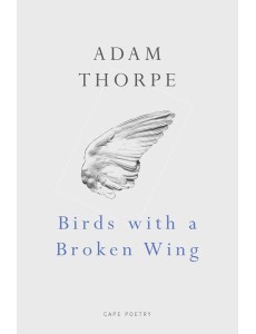 Birds With A Broken Wing