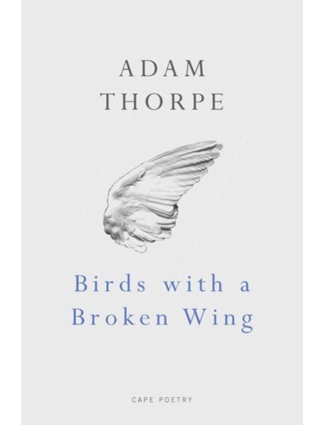 Birds With A Broken Wing