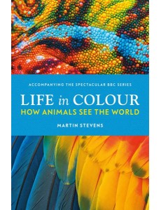 Life in Colour Life in Colour