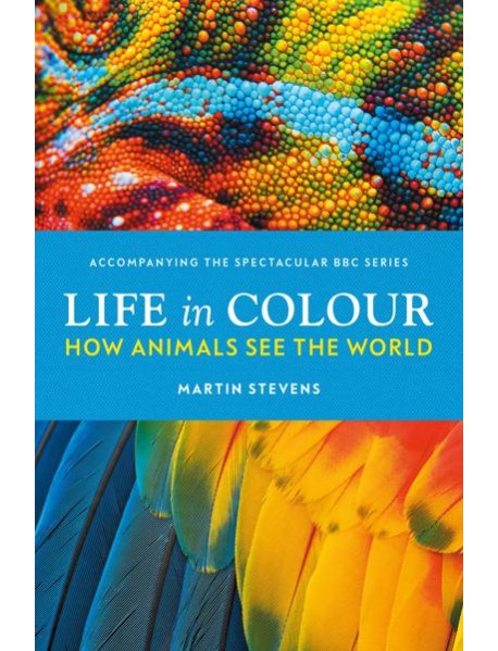 Life in Colour