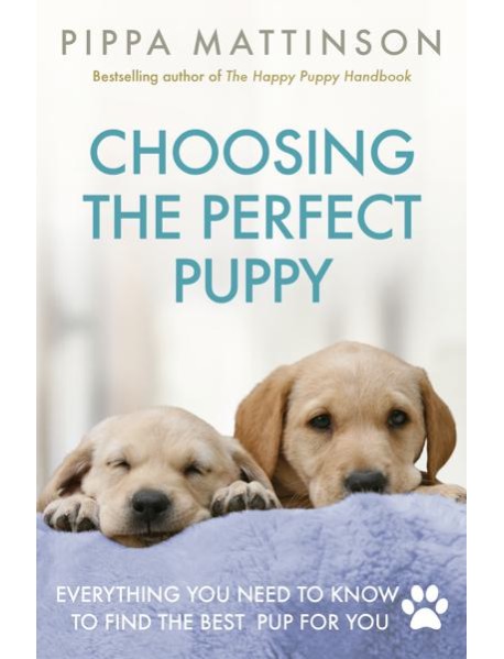 Choosing the Perfect Puppy
