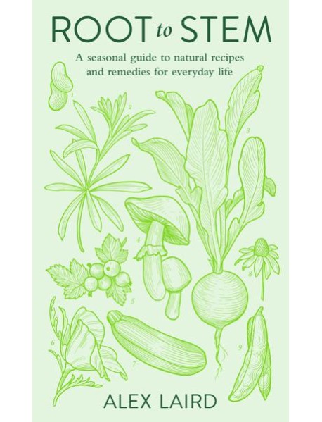 Root to Stem
