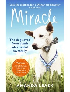 Miracle