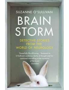 Brainstorm