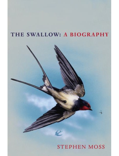 The Swallow