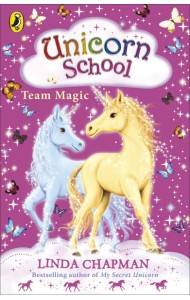 Unicorn School Team Magic