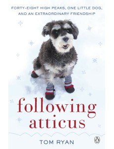 Following Atticus Following Atticus