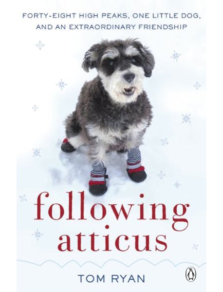 Following Atticus