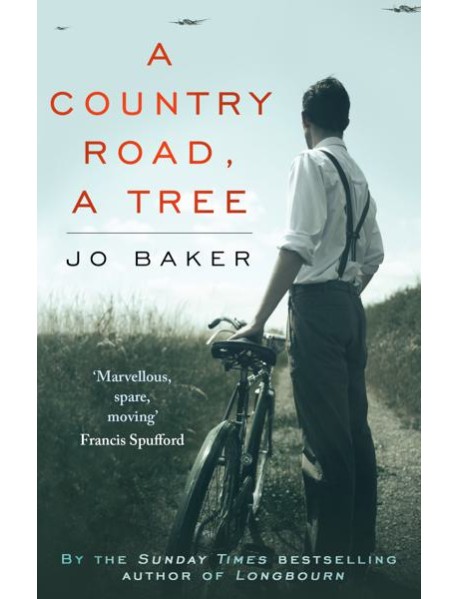 A Country Road A Tree