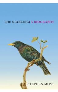 The Starling