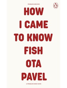 How I Came to Know Fish