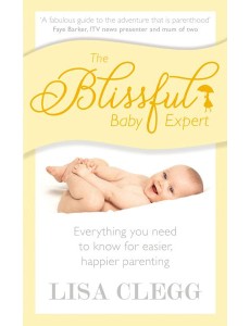 The Blissful Baby Expert