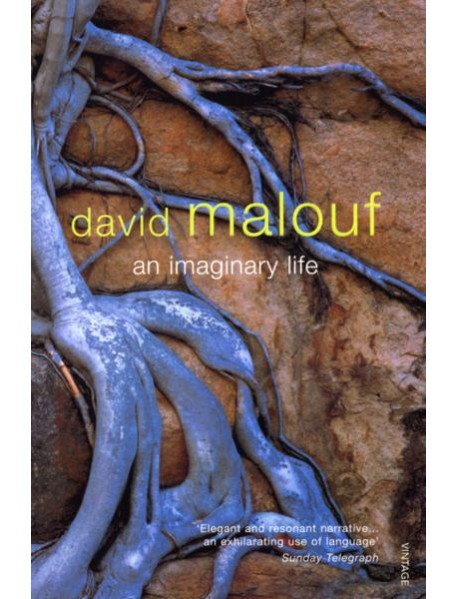 An Imaginary Life