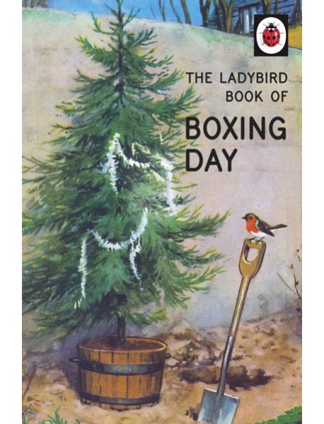 The Ladybird Book of Boxing Day