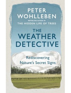 The Weather Detective
