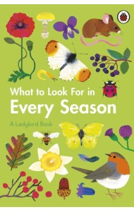 What to Look For in Every Season