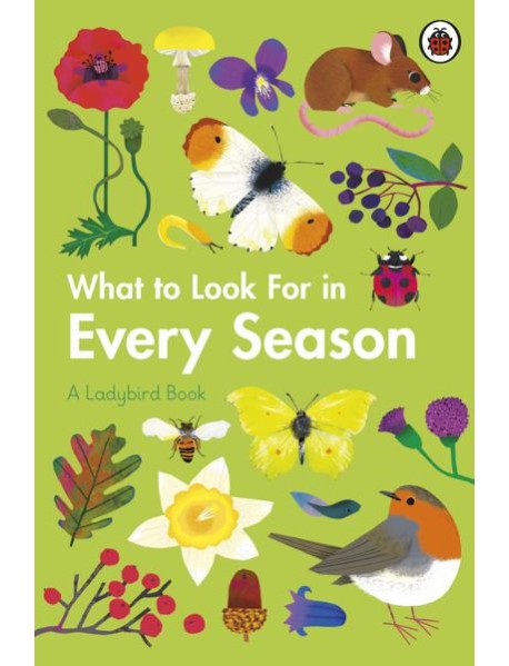 What to Look For in Every Season
